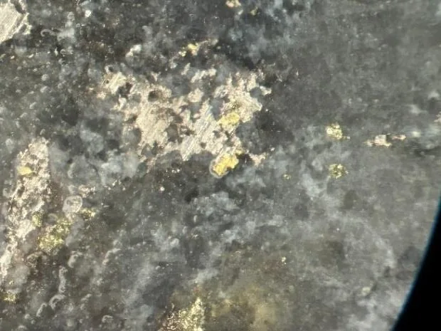 Visible gold with quartz-carbonate in drill core from hole MO-25-25, magnified