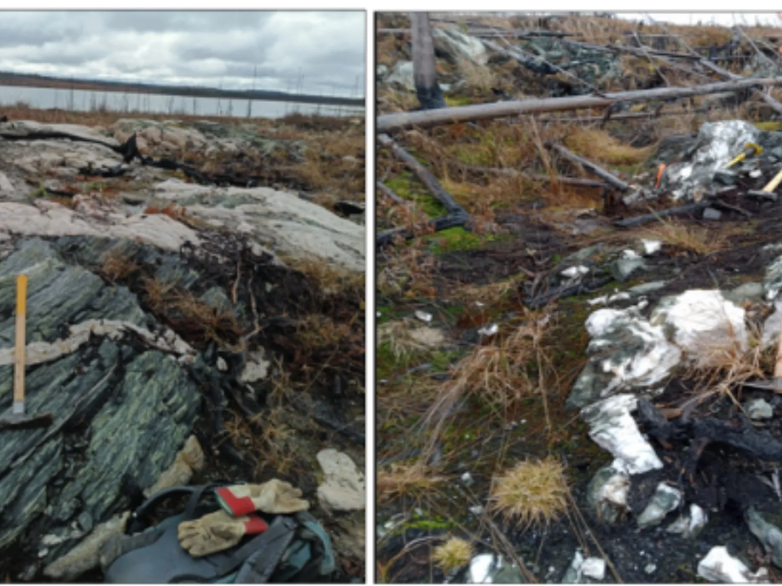 Sheared green volcanic outcrop beside a lake, and quartz veins among burnt trees, on the Urban Barry property