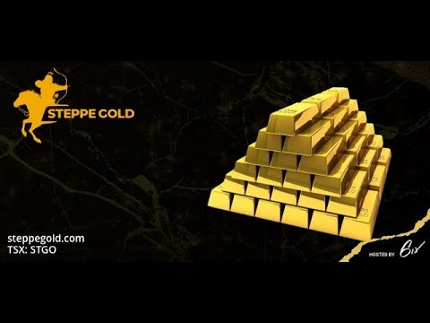 Gold Investor Fireside Chat: 2020 Learnings &amp; 2021 Outlook