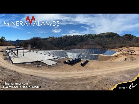 Conversations with Minera Alamos Part 2: The Art of Discovery Investing with Willem Middelkoop