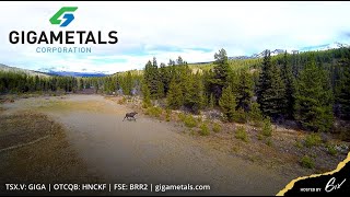 Carbon Neutrality at Turnagain