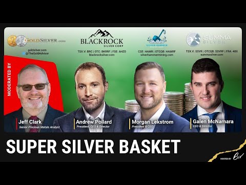 Super Silver Basket