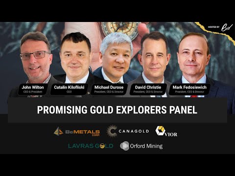Promising Gold Explorers Panel