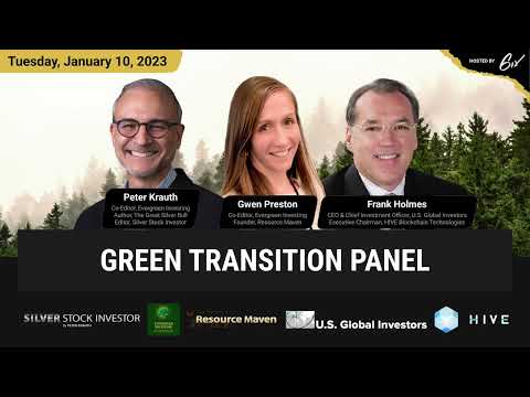 Green Transition Panel