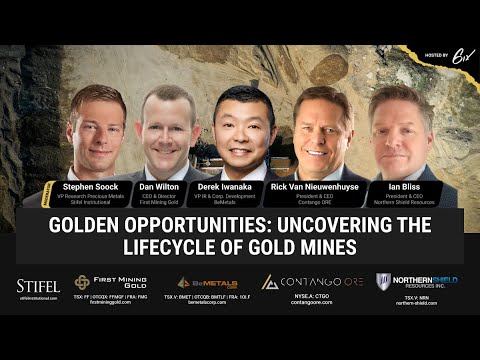 Golden Opportunities: Uncovering the Lifecycle of Gold Mines