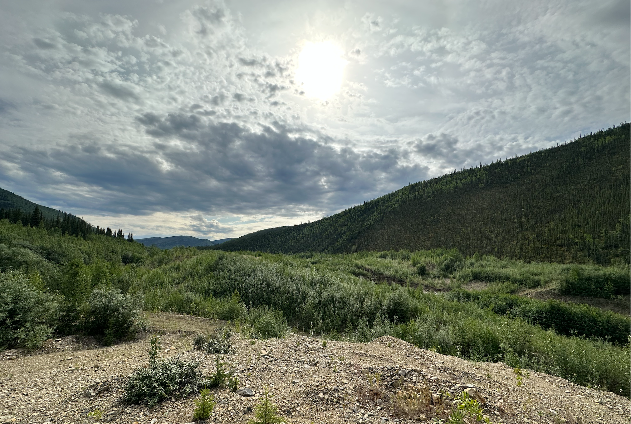 Fireside Chat: David D'Onofrio, CEO of White Gold Corp