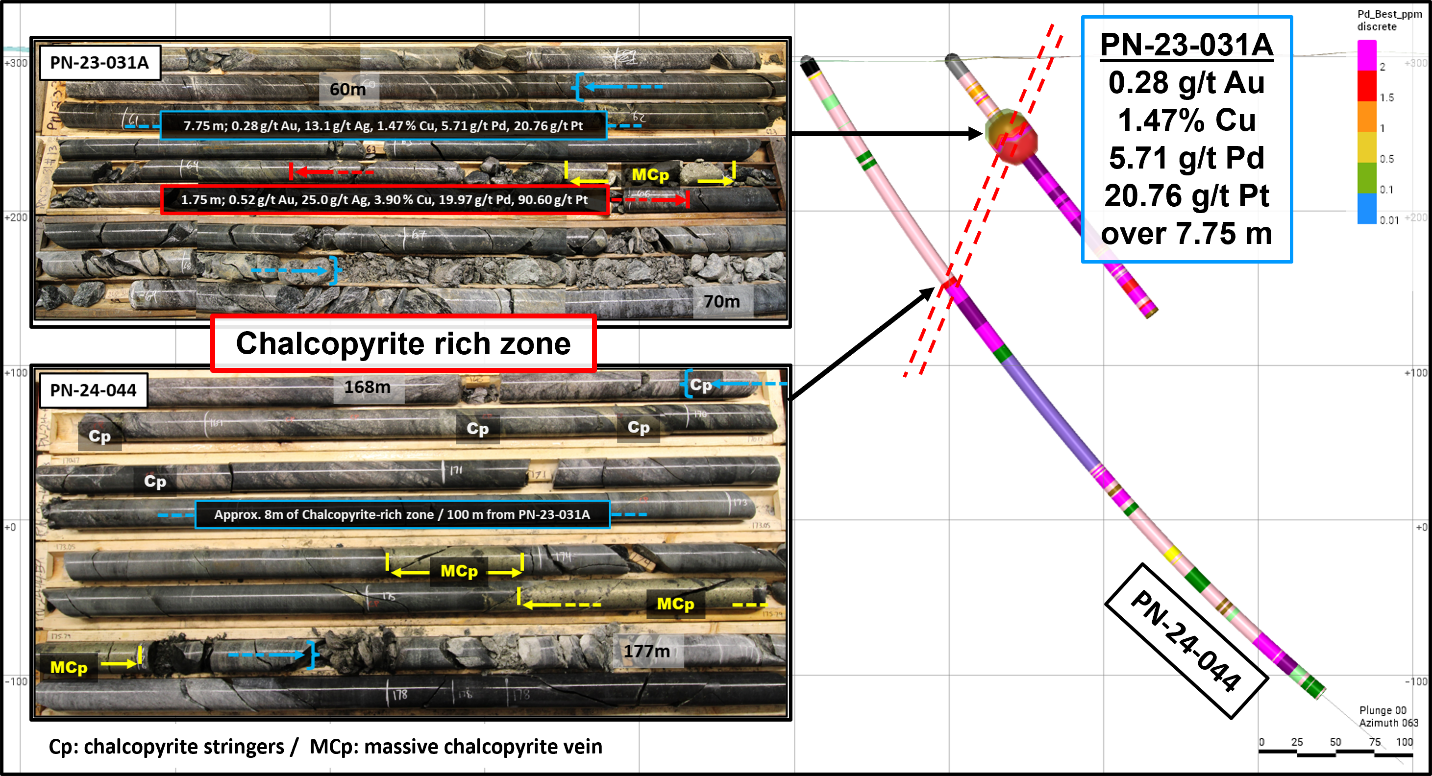 Investor Update: Power Nickel's Strategic Advances & PGM Discovery