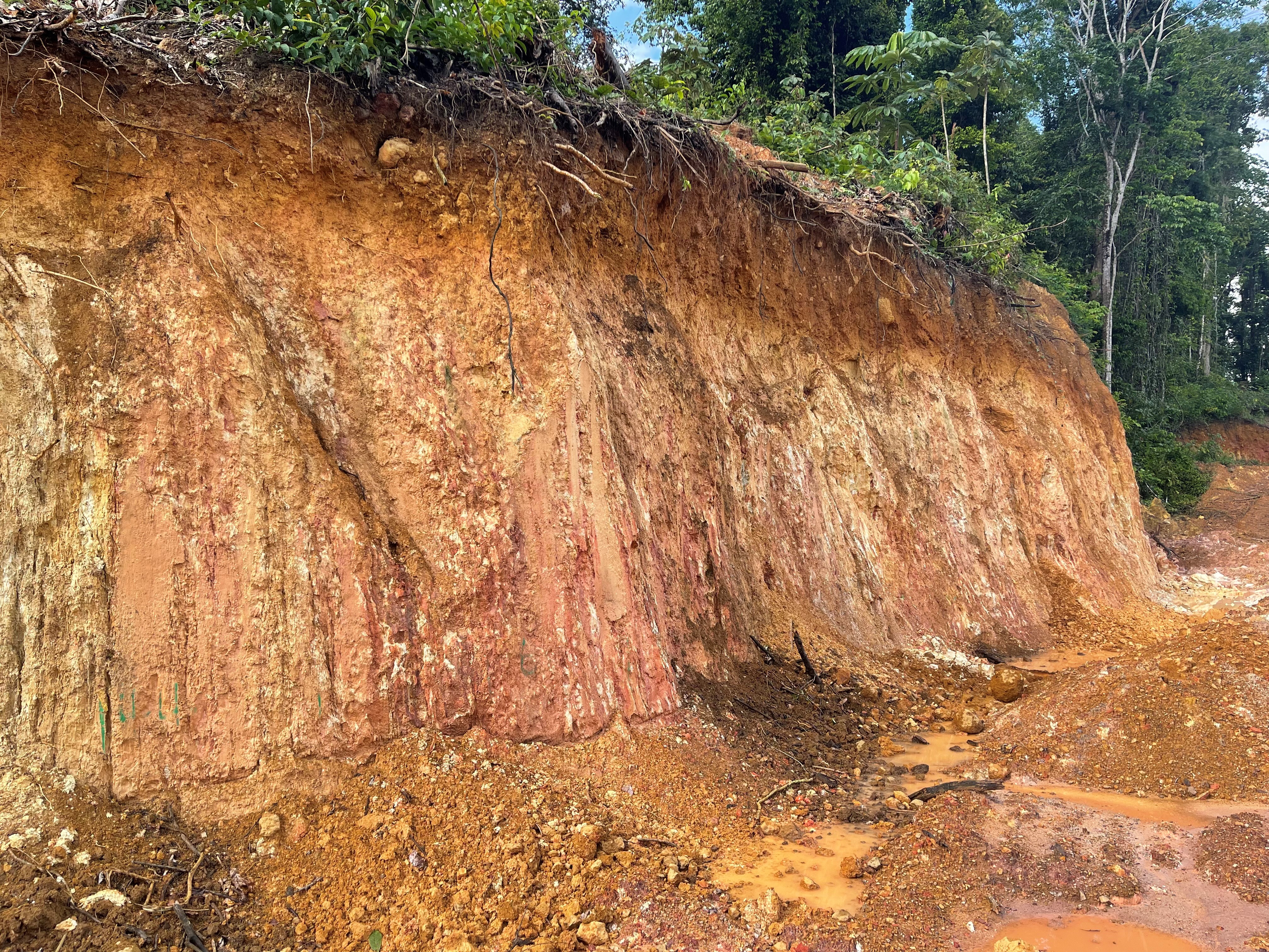 Reunion Gold: Updated Mineral Resource Estimate