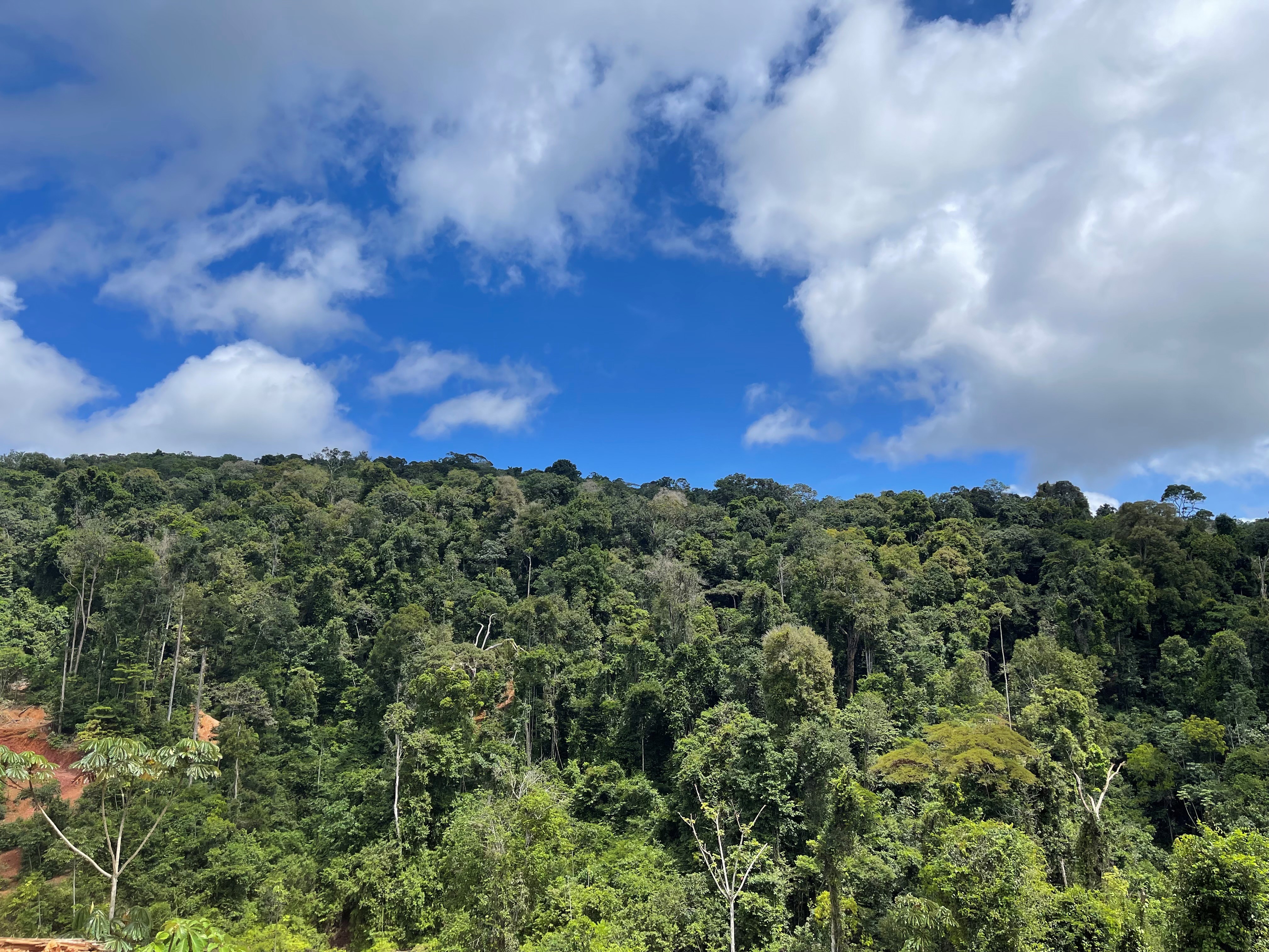 G Mining & Reunion Gold: Creating a Leading Gold Producer in the Americas