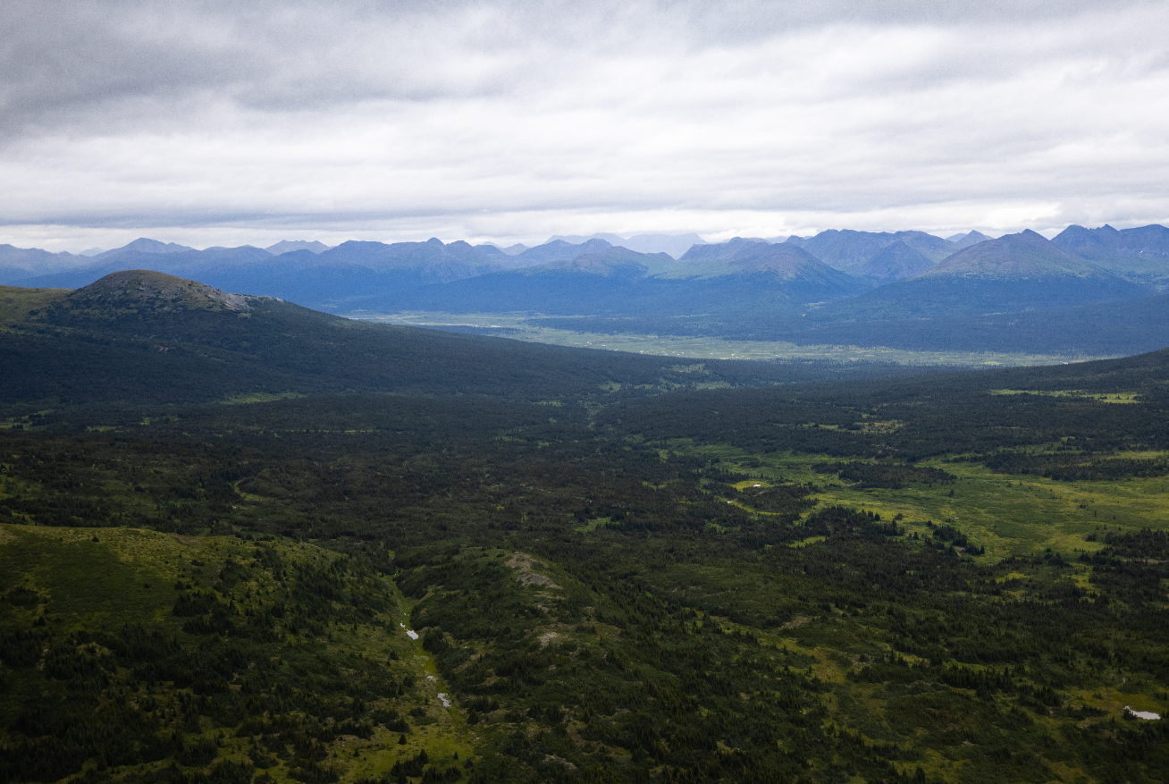 Deep Dive on the Turnagain Project
