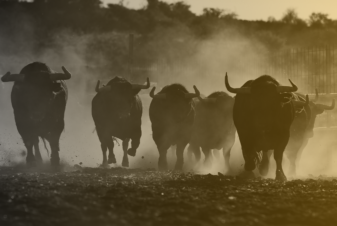 Is This Genuinely a Metals Bull Market?