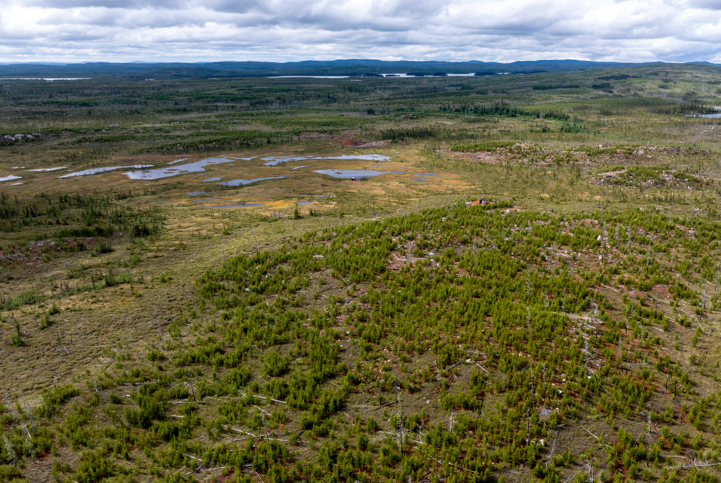 NISK – Next Steps: 2024 & Beyond