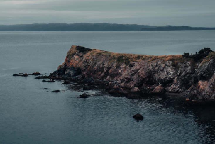 Sinter to Center: Why Root & Cellar's Gold Findings Are Just the Beginning