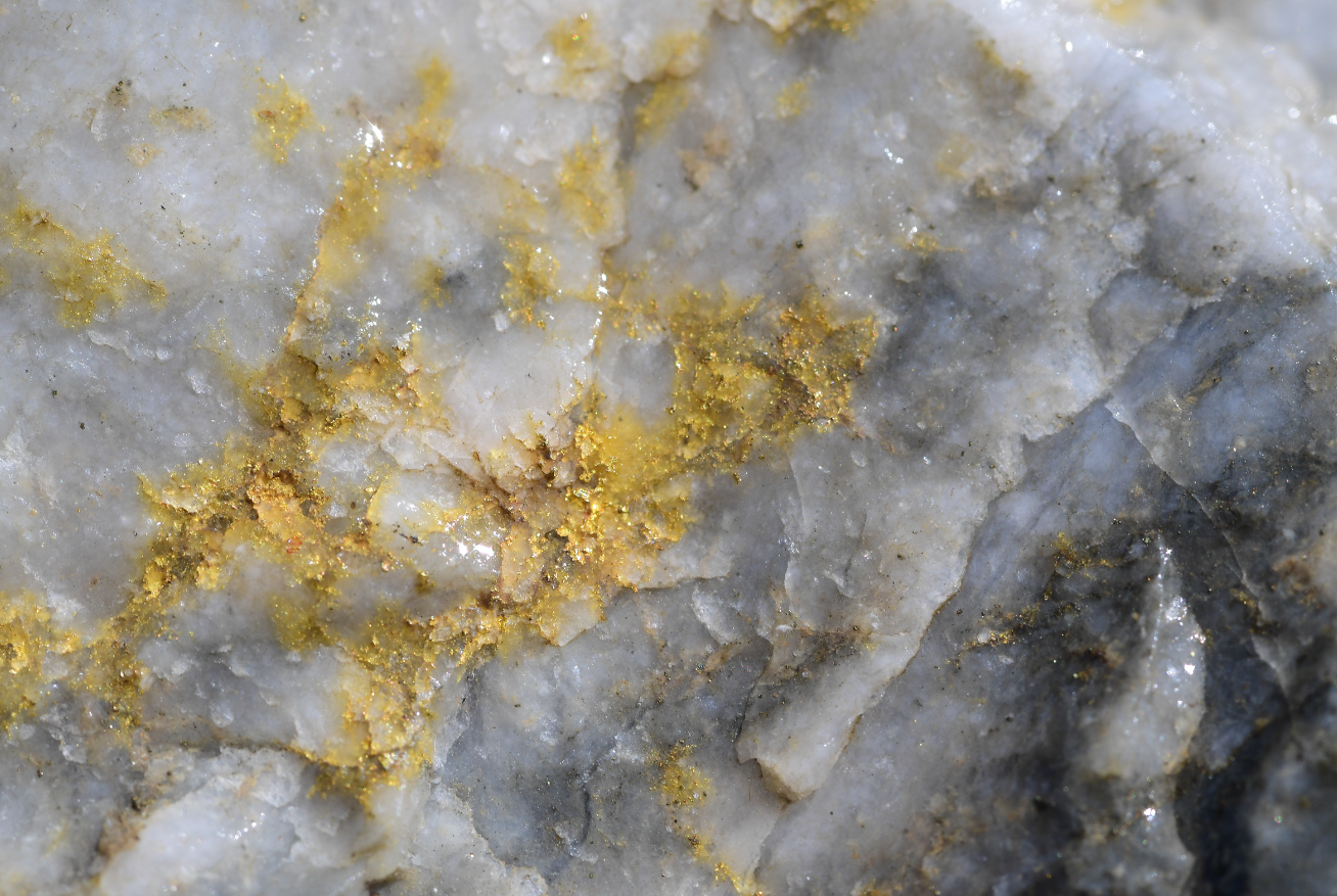 First Mining - Town Hall