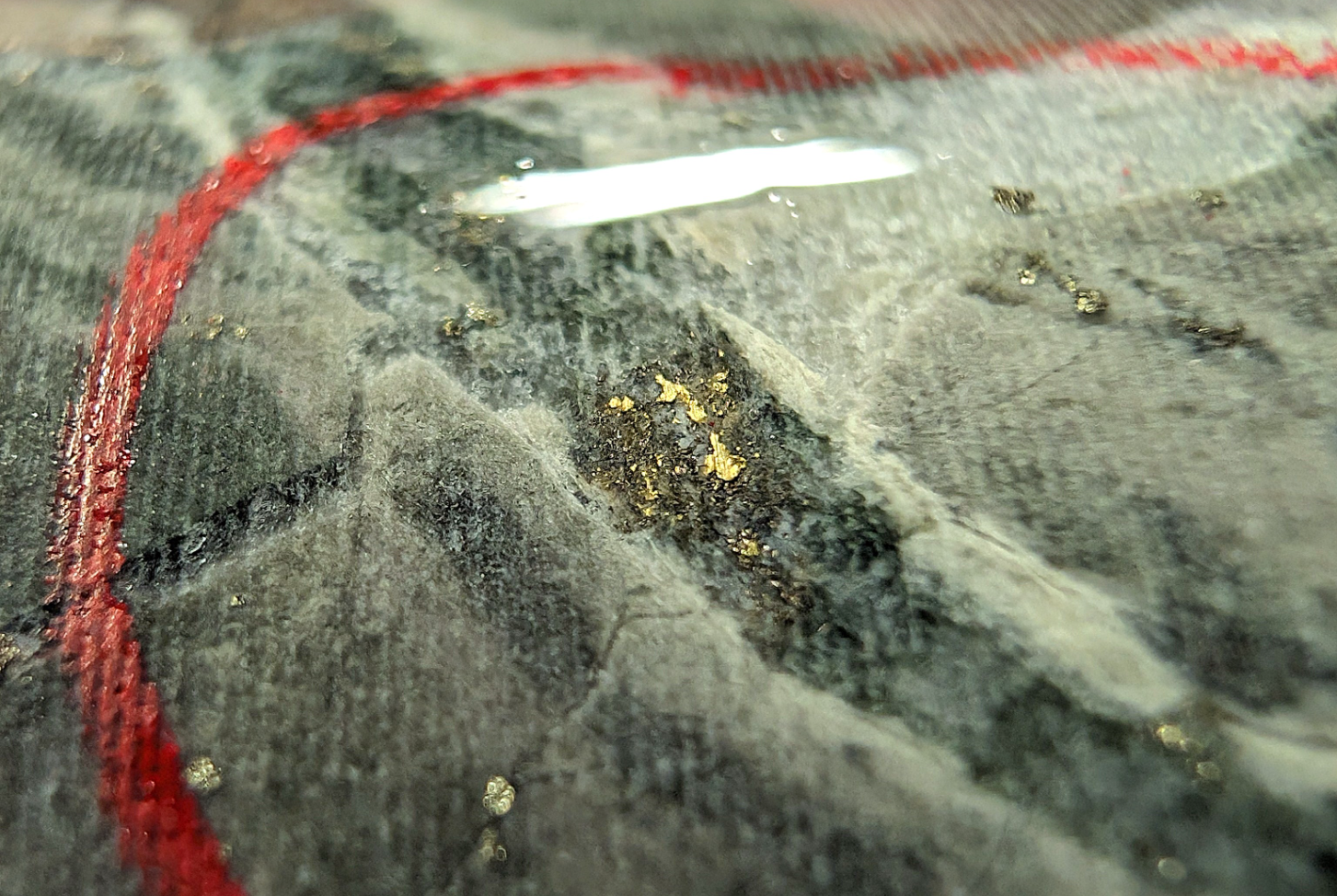 GFG Talks Recent High-Grade Gold Results From the Aljo Mine Target