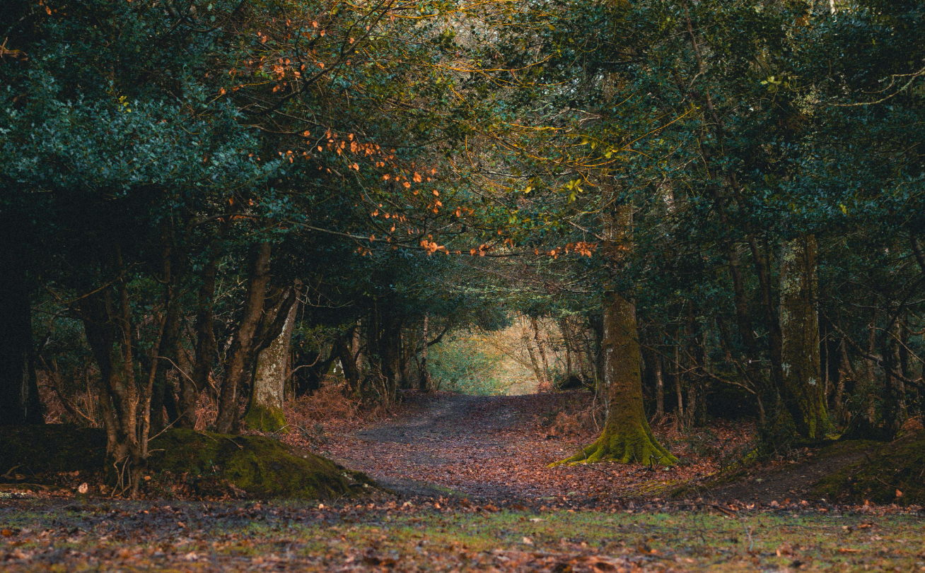 Northern Shield Resources: Market Update