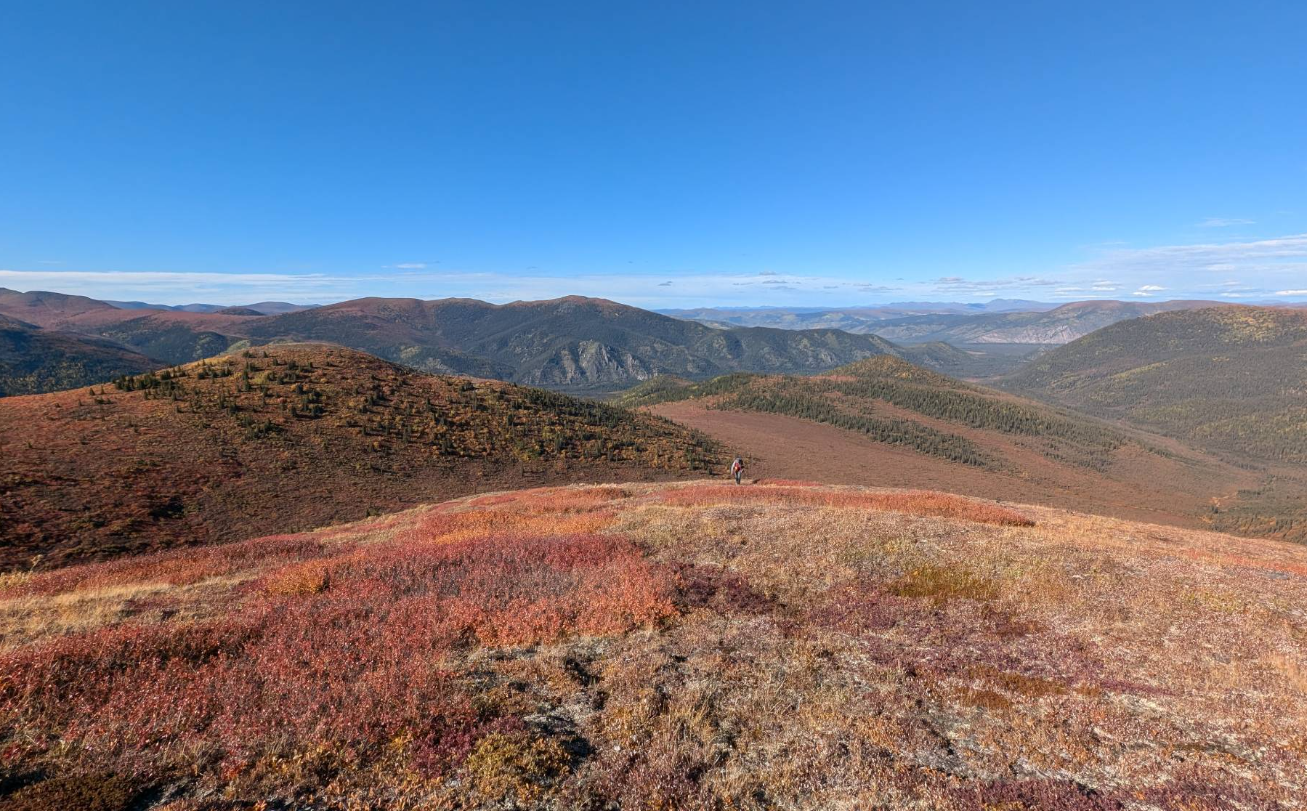 High-Grade Copper & Gold at Birch, Update & Catalysts