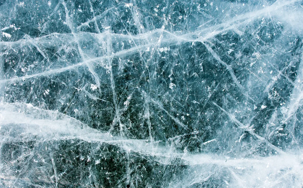 Northern Shield Resources: Year in Review