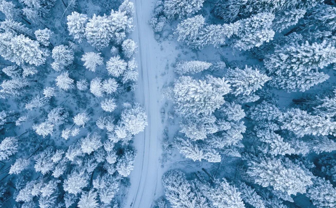 Power Nickel Year In Review & Latest Developments at Nisk