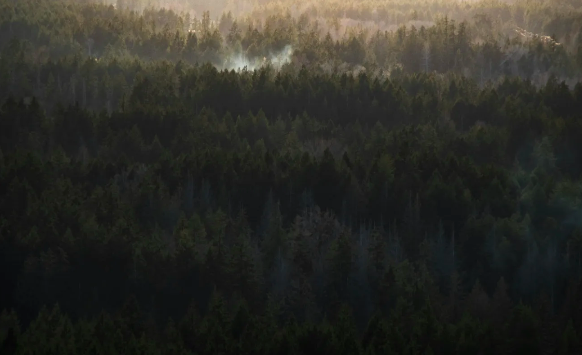 Giga Metals Town Hall with CEO Mark Jarvis