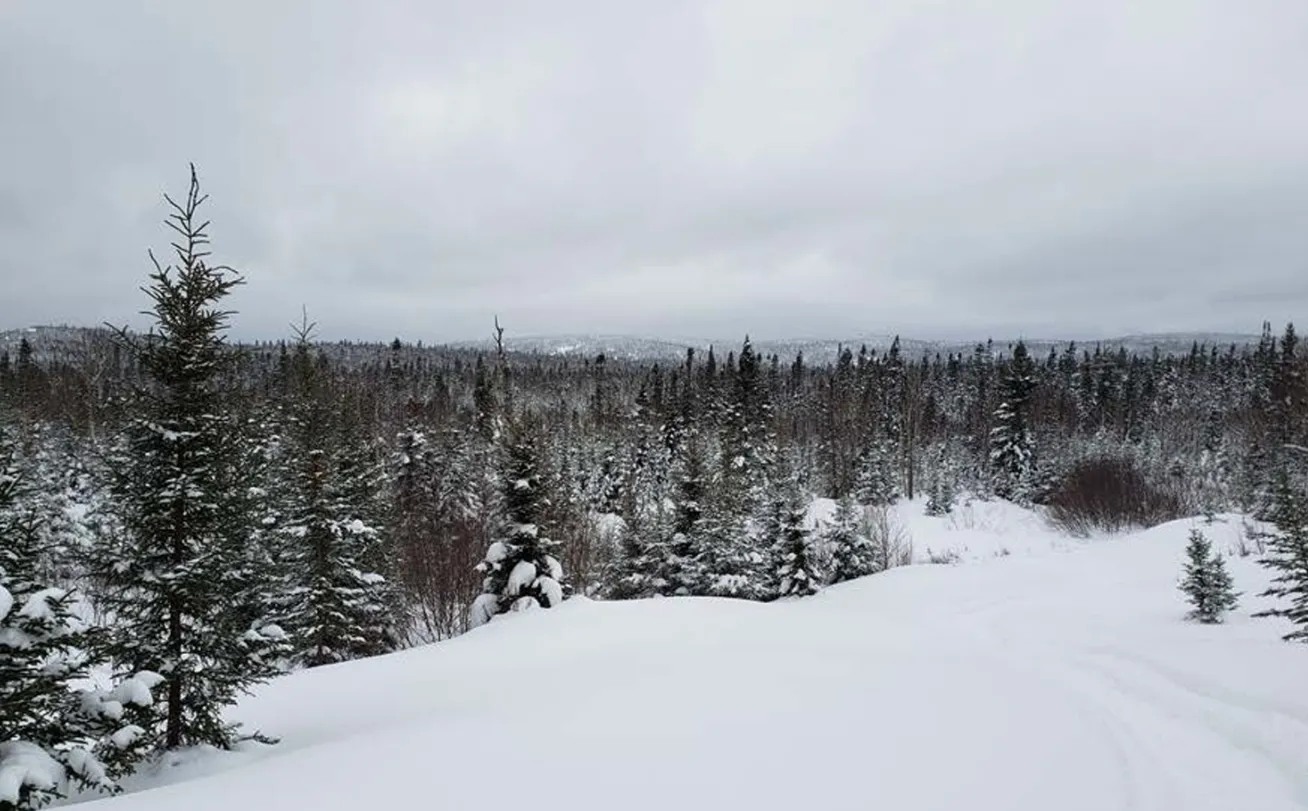 Angus Gold Doubles The Strike Length Of New High Grade Gold Zone At Dorset