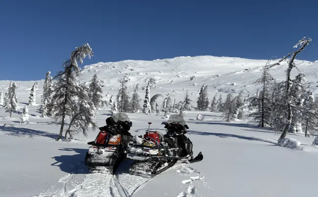 CUPANI Metals: Q&A With Geology Team