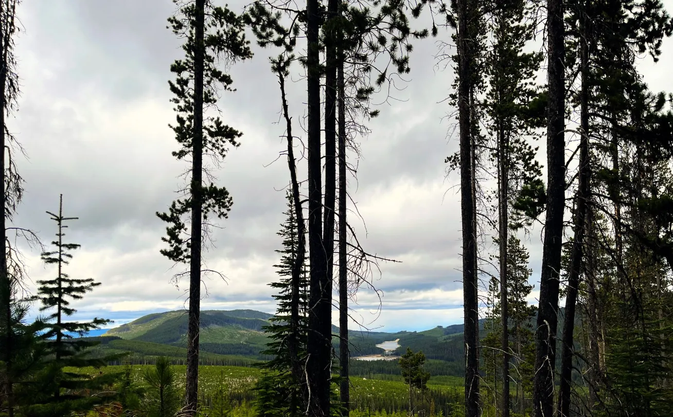 Deep Dive on Copper Plateau