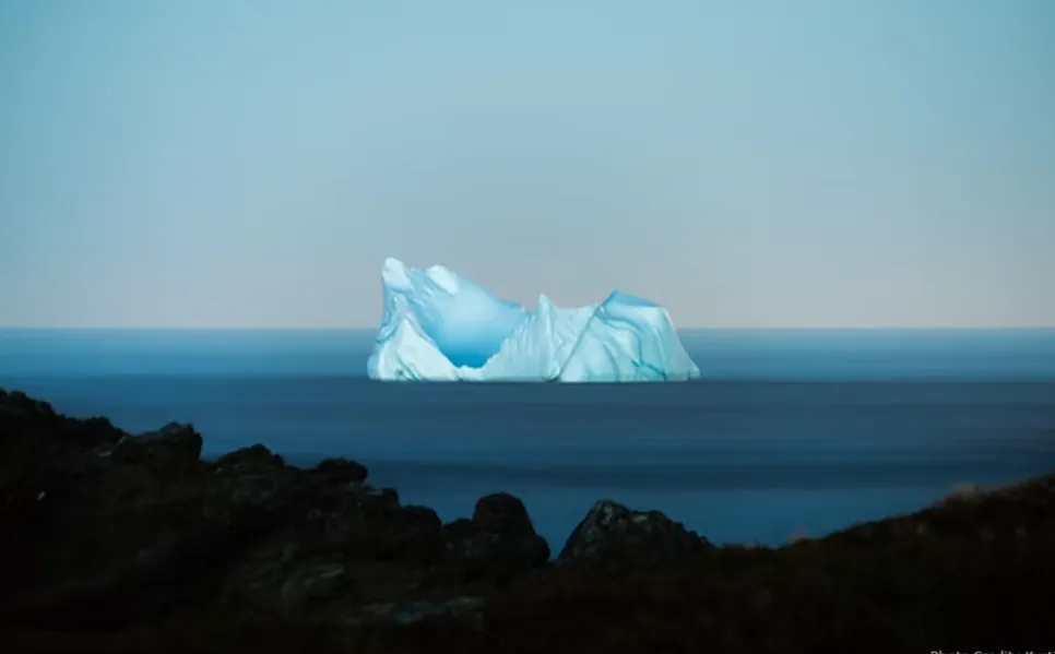 Northern Shield Market Update