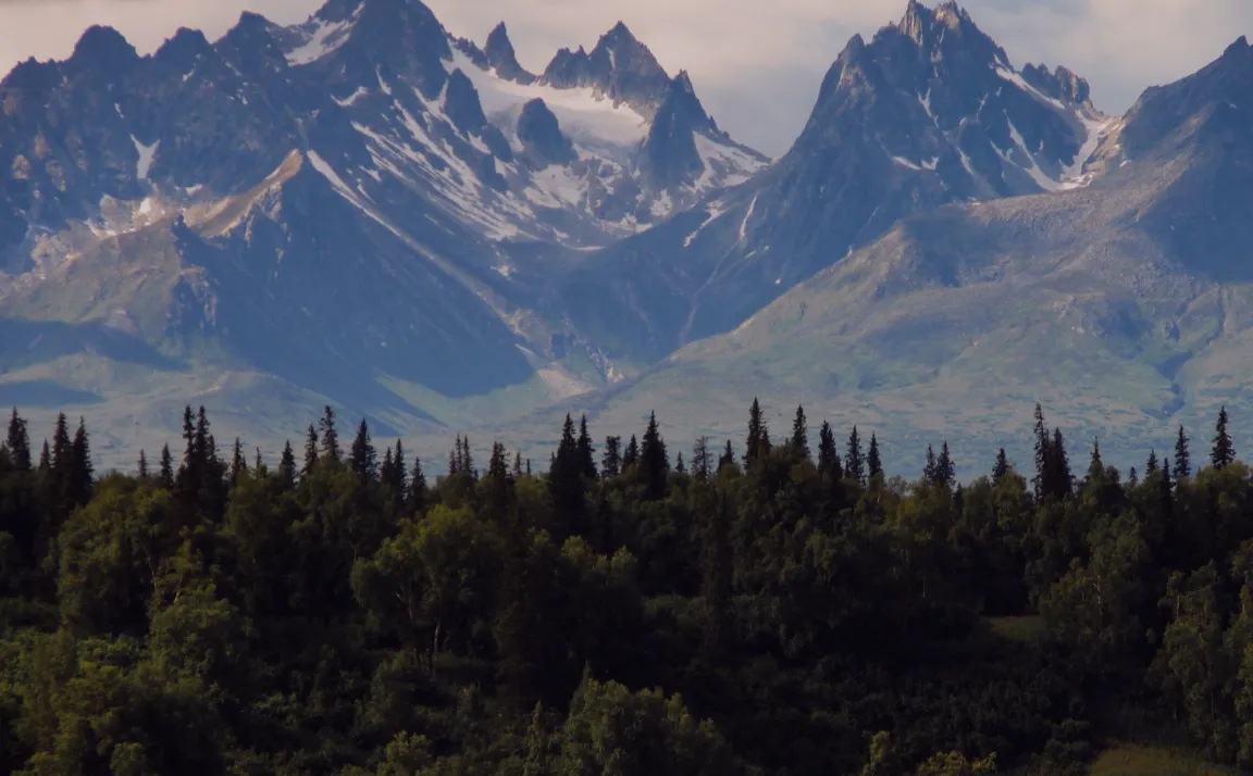 Northern Frontiers: CEOs Discuss Canada's Untapped Potential