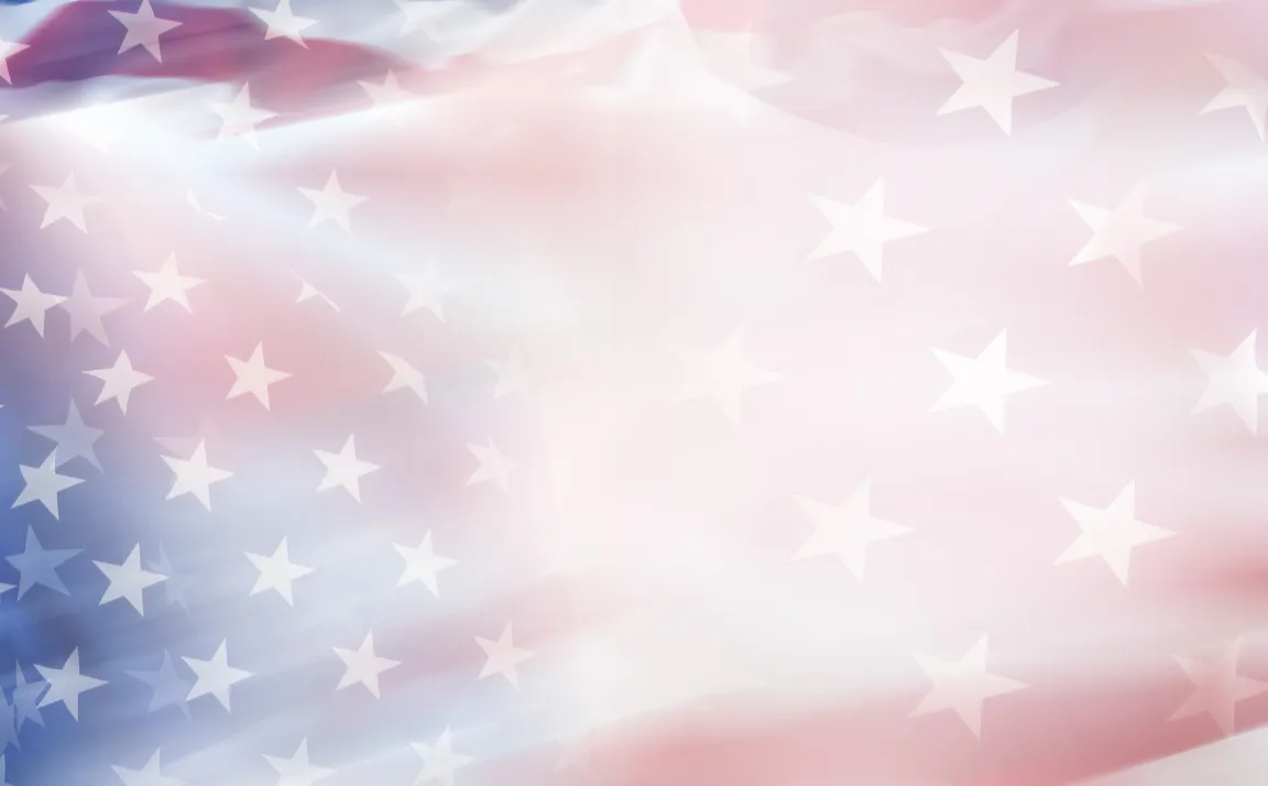 Critical Minerals in America