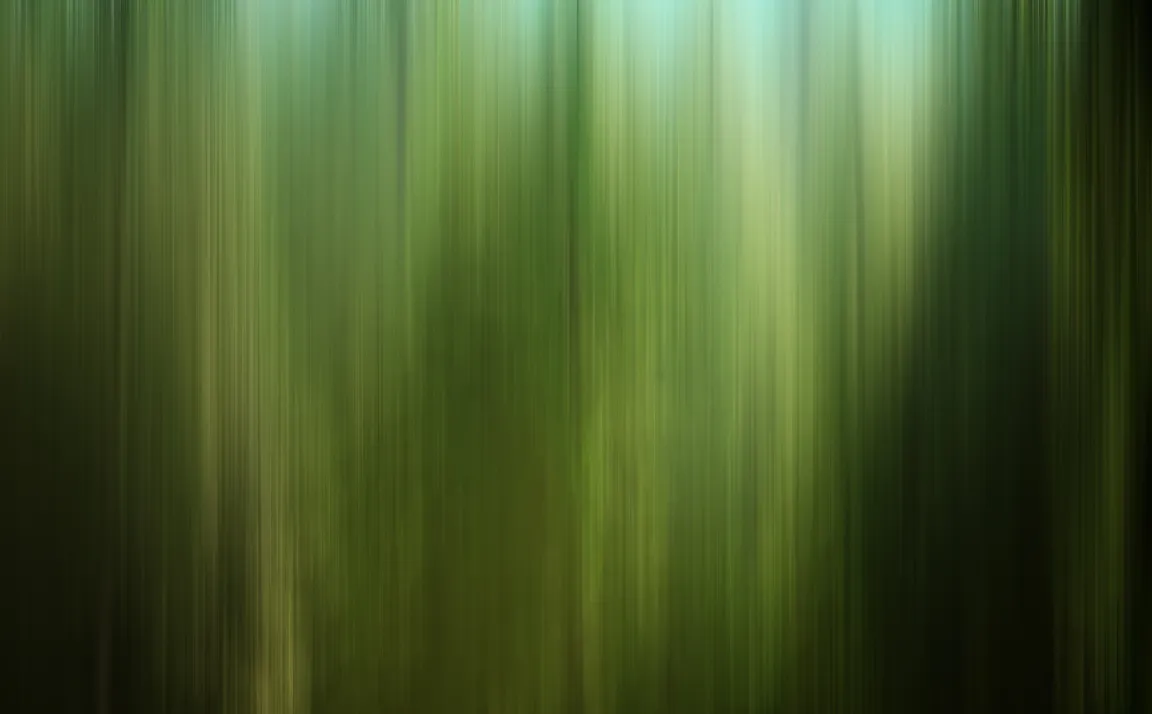 Westgold Market Update