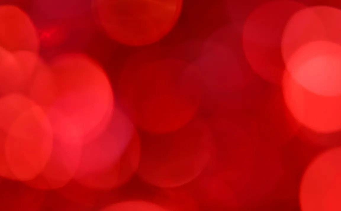 4th Canada-Africa Business Conference, Lusaka