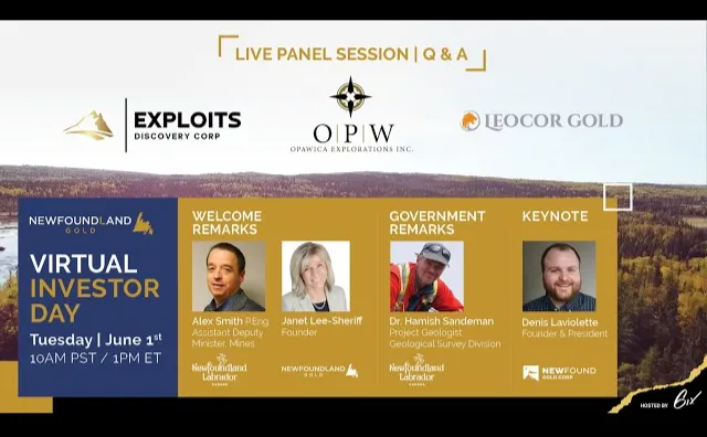 Virtual Investor Days: Newfoundland Gold Group