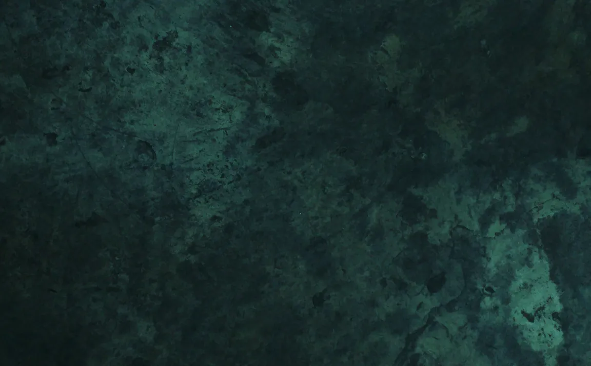 Nevada Lithium Discusses Critical Minerals At Bonnie Claire