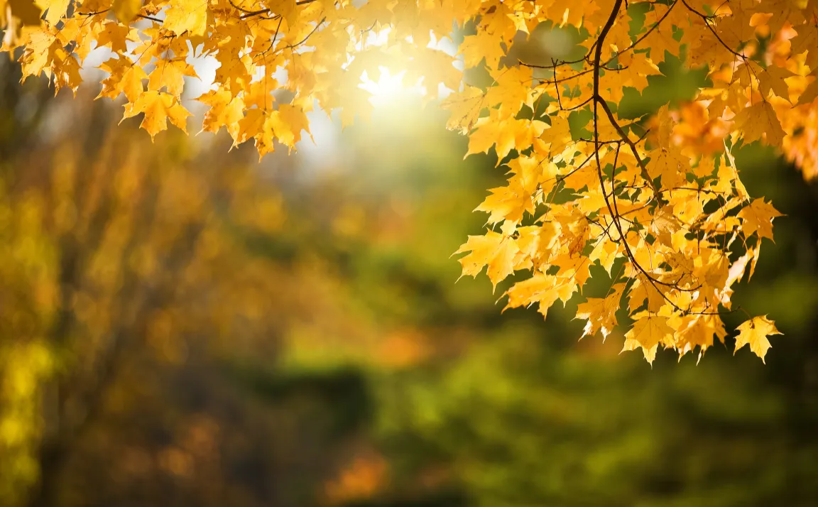 A Conversation With Generation Mining