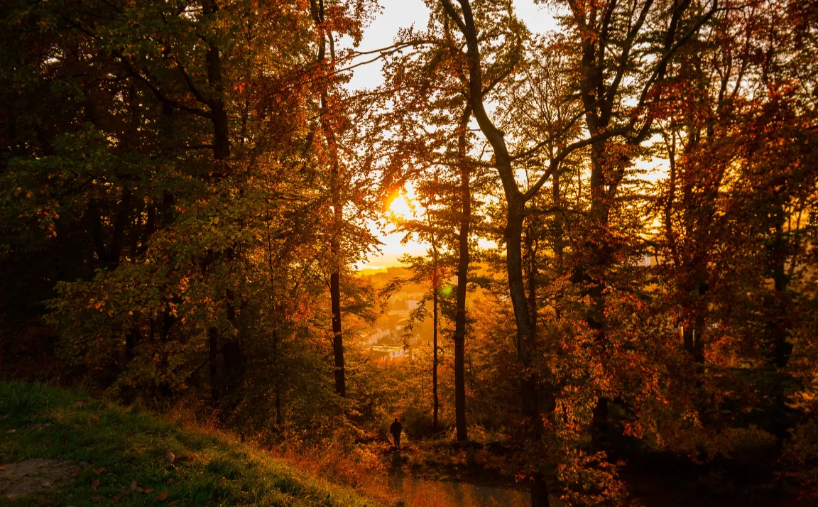 Timmins - Ontario's Premier Mining Region