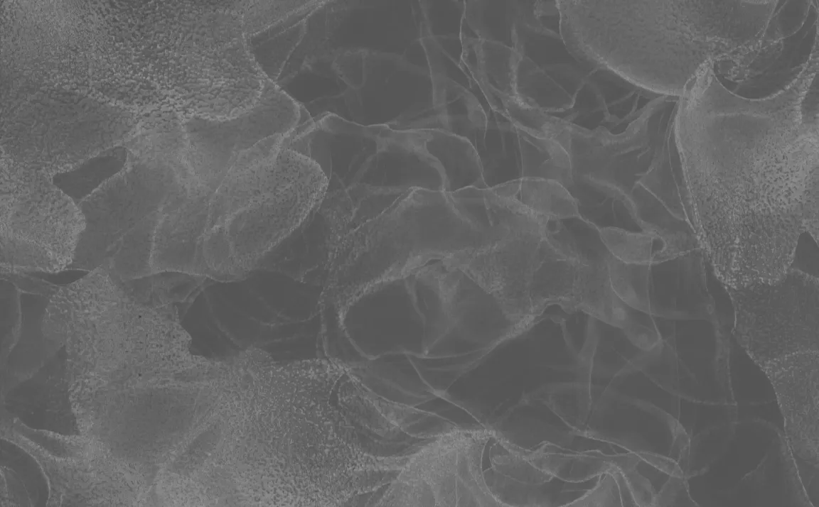 Argenta One-Year Recap & Next Catalysts