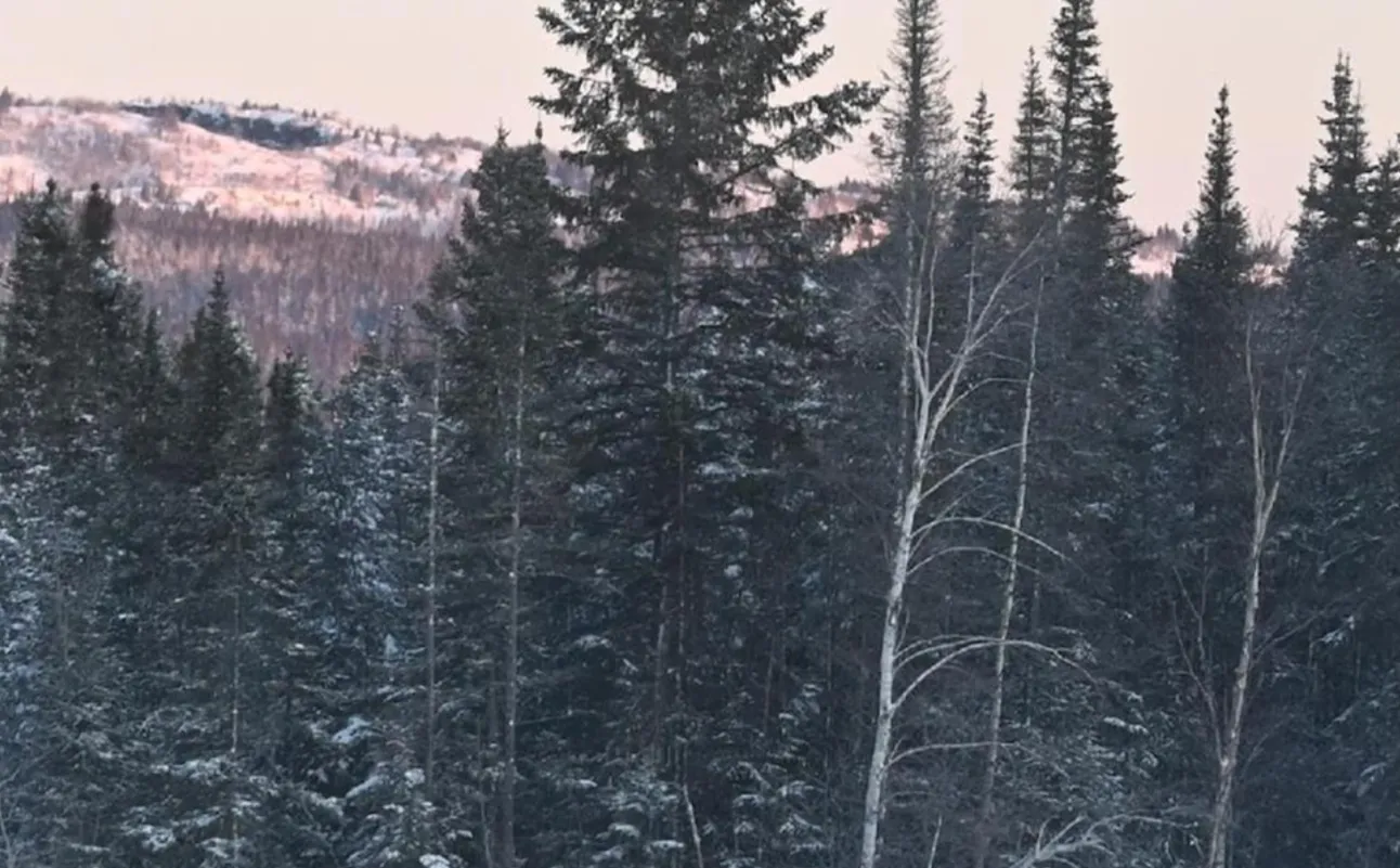 RPX Gold Delivers Robust PEA And Updated Mineral Resource Estimate