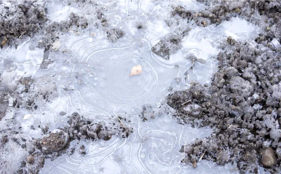 Increasing Land Position to 420 km2 Covering Multiple Targets