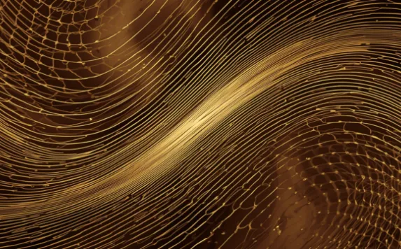 Beneath the Surface: The People of Chesapeake Gold