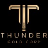Logo - Thunder Gold Corp. 