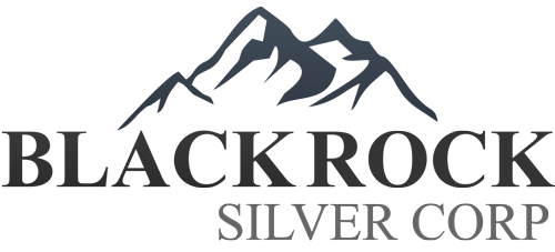 Logo - Blackrock Silver 