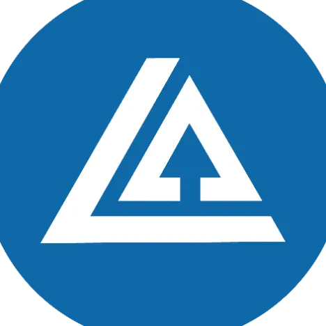 Logo - Lithium Arrow 