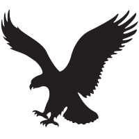 American Eagle Outfitters Inc logo
