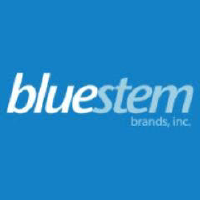 Bluestem Group Inc logo