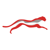 Cheetah Net Supply Chain Service Inc. Class A Common Stock logo