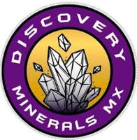 Discovery Minerals logo