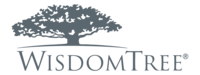 Wisdomtree International Multifactor logo