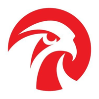 Falcon's Beyond Global, Inc. Class A Common Stock logo