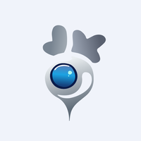 Lobo Ev Technologies Ltd. Ordinary Shares